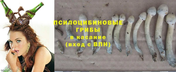 метадон Бородино