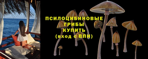 Альфа ПВП Бронницы
