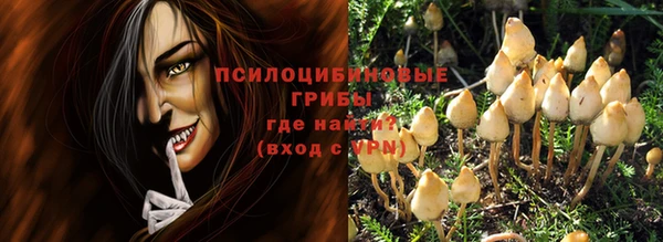 синтетический гашиш Богородицк