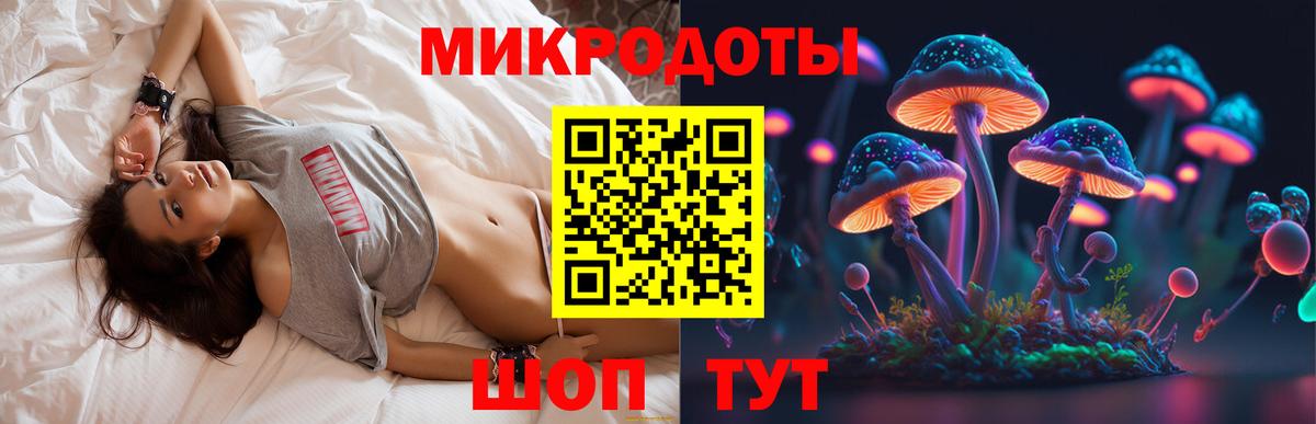 Галлюциногенные грибы Psilocybine cubensis Вологда